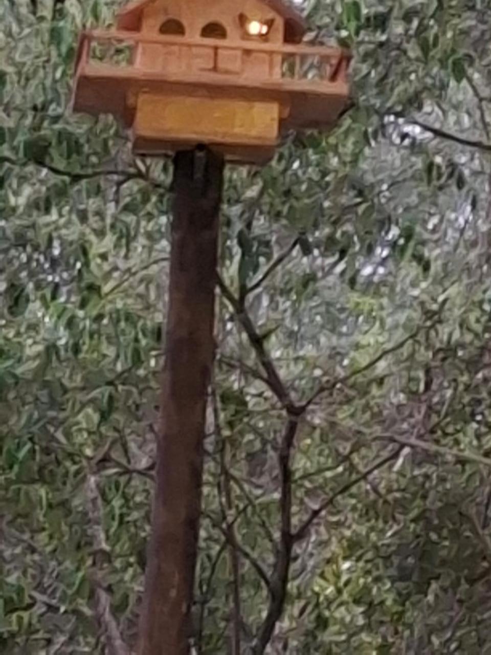 African Bush Escape Marloth Park Extérieur photo