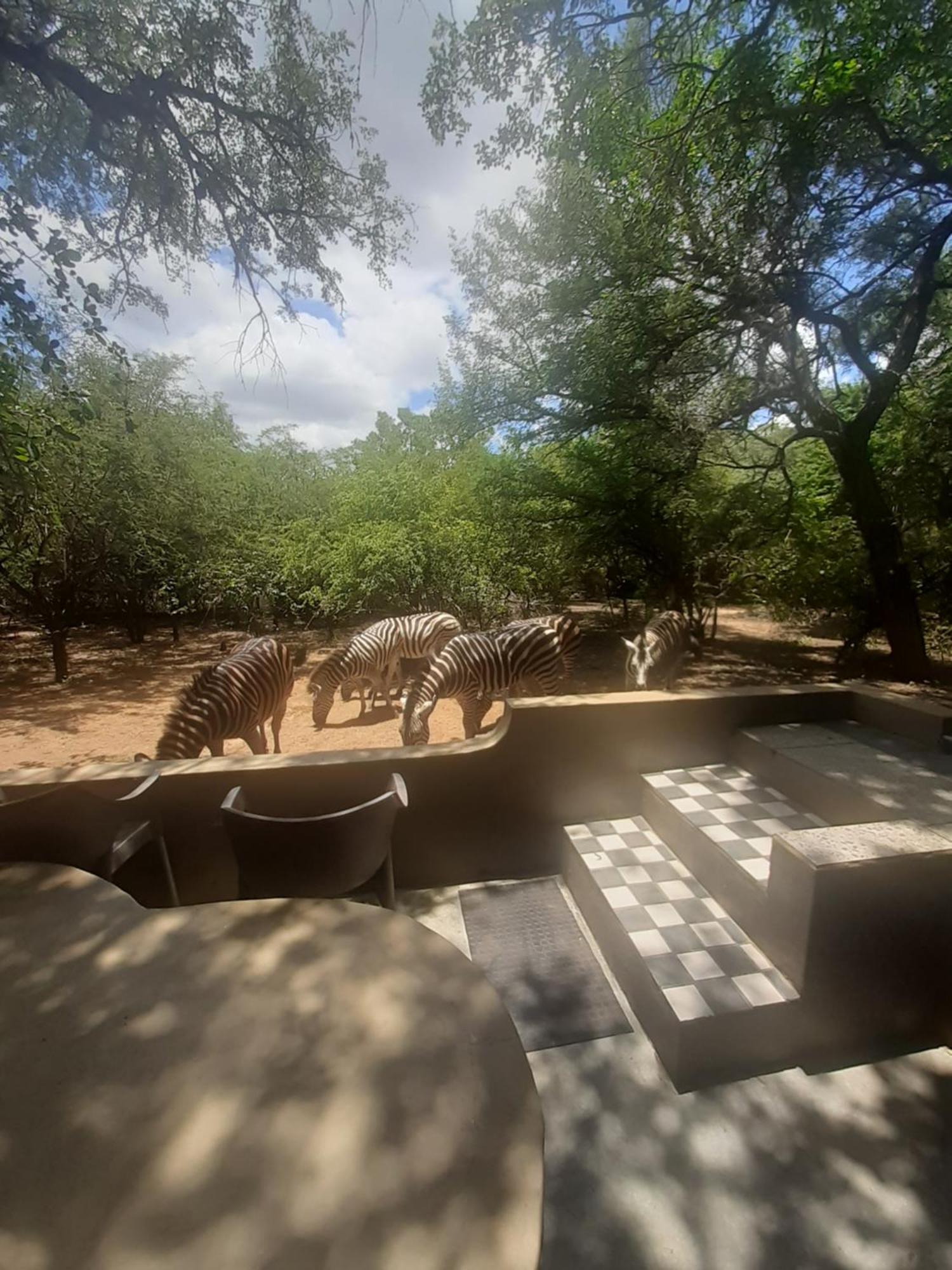 African Bush Escape Marloth Park Extérieur photo