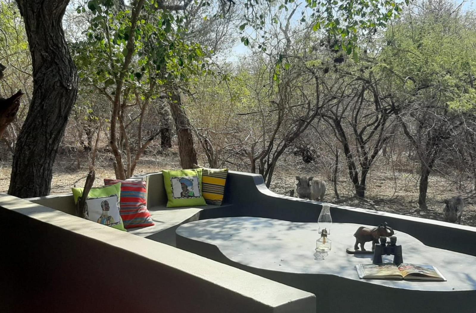 African Bush Escape Marloth Park Extérieur photo