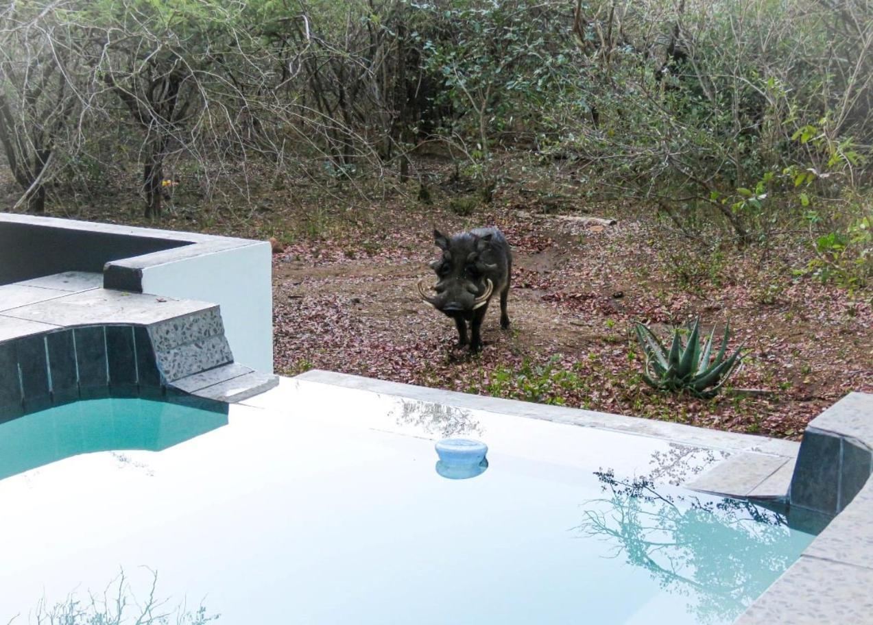 African Bush Escape Marloth Park Extérieur photo
